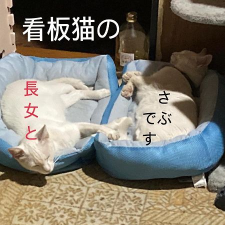 Guest House Salt Beach Yokkaichi Exterior foto